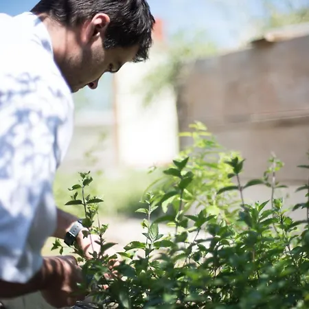 Restaurant Görg Katzelsdorf