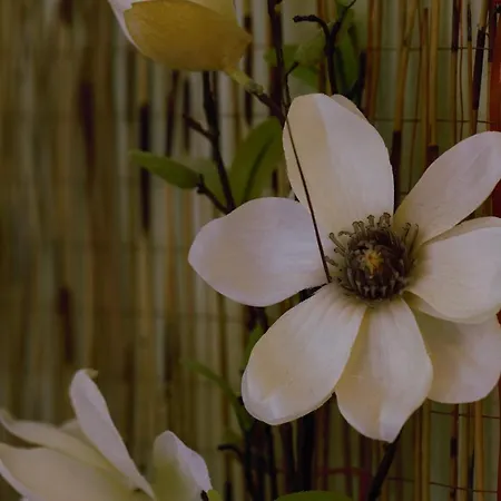 Inn Restaurant Goerg