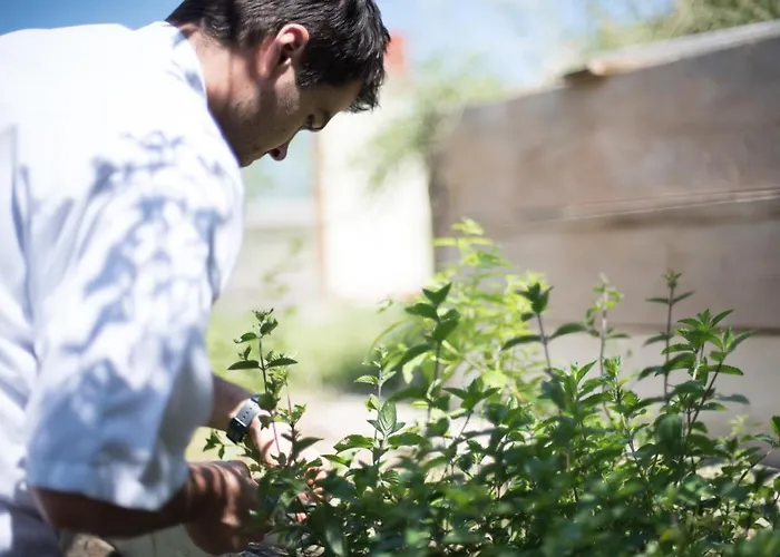 Restaurant Goerg Katzelsdorf